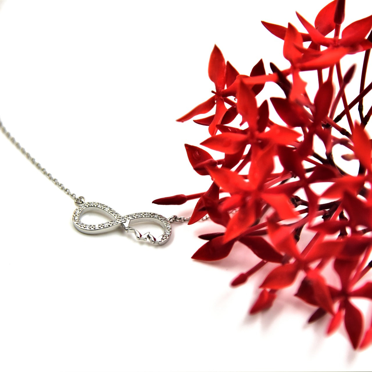 Infinity Weath (chain with pendant)